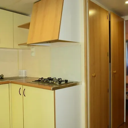 Camping Noguera Pallaresa Sort