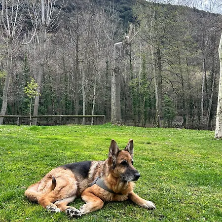 Noguera Pallaresa Campsite Sort