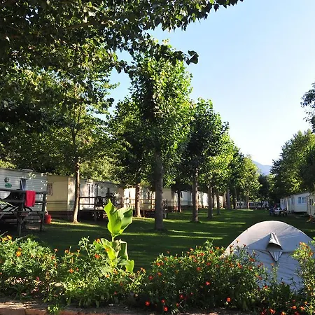 Кемпинг Noguera Pallaresa *